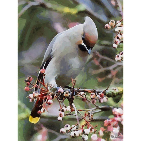 White Bird Black Modern Wood Framed Art Print with Double Matting by Medeiros, Celito