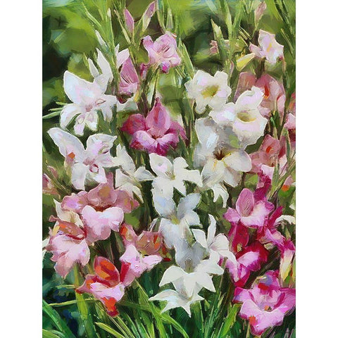 Gladiolus II Black Modern Wood Framed Art Print by Medeiros, Celito