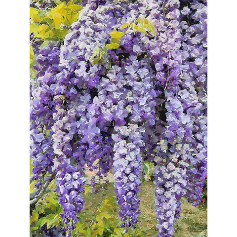 Blooming Tropical Tree I Black Modern Wood Framed Art Print by Medeiros, Celito