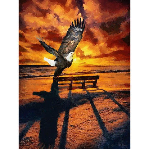 Eagle by Sunset Black Modern Wood Framed Art Print with Double Matting by Medeiros, Celito