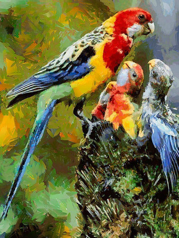 Parrot Family Black Ornate Wood Framed Art Print with Double Matting by Medeiros, Celito