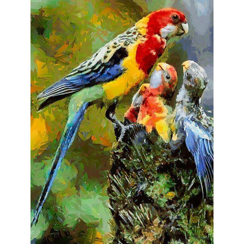 Parrot Family Black Modern Wood Framed Art Print by Medeiros, Celito
