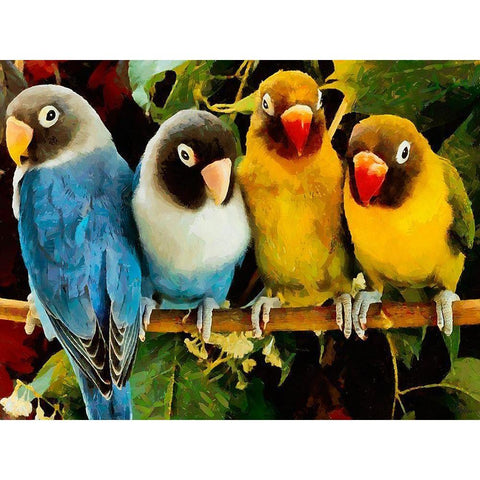 Four Parrots White Modern Wood Framed Art Print by Medeiros, Celito