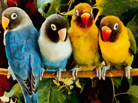 Four Parrots Black Ornate Wood Framed Art Print with Double Matting by Medeiros, Celito