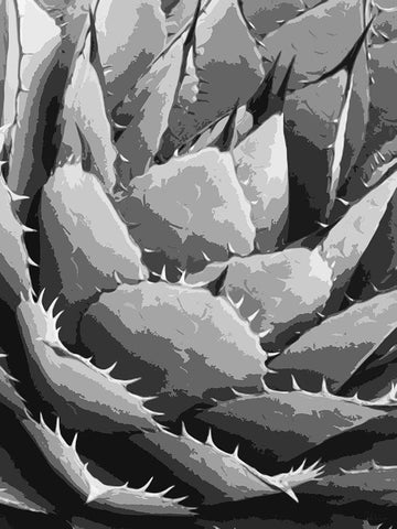 Leaves BW5 White Modern Wood Framed Art Print with Double Matting by Medeiros, Celito