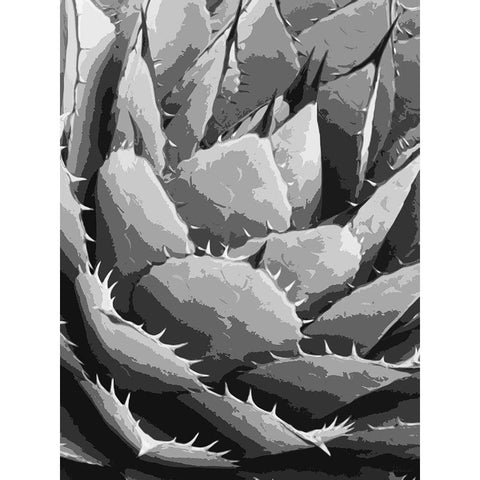Leaves BW5 White Modern Wood Framed Art Print by Medeiros, Celito