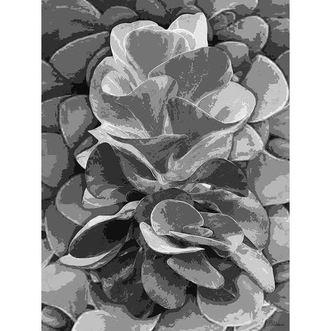 Leaves BW6 Gold Ornate Wood Framed Art Print with Double Matting by Medeiros, Celito