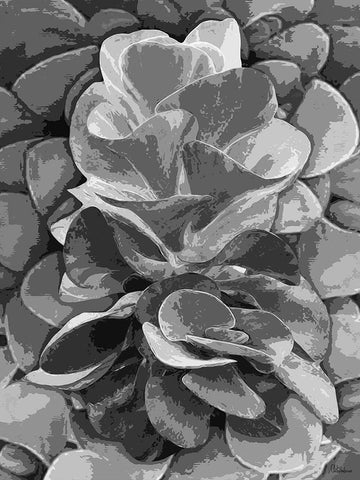 Leaves BW6 Black Ornate Wood Framed Art Print with Double Matting by Medeiros, Celito