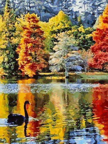 Black Swan with colorful Trees White Modern Wood Framed Art Print with Double Matting by Medeiros, Celito