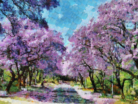 Paradise Road I Black Ornate Wood Framed Art Print with Double Matting by Medeiros, Celito