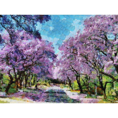 Paradise Road I Black Modern Wood Framed Art Print by Medeiros, Celito