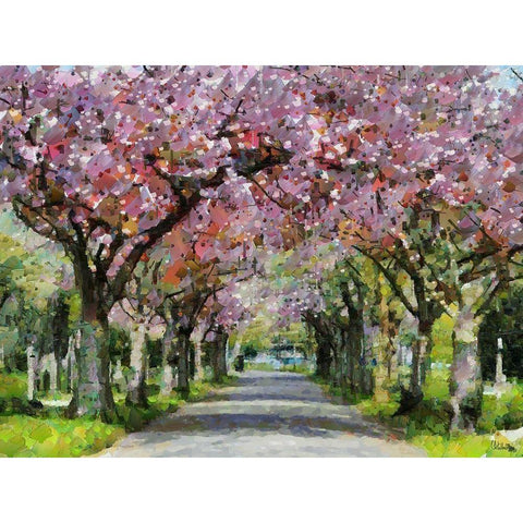 Paradise Road II Black Modern Wood Framed Art Print with Double Matting by Medeiros, Celito