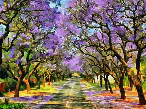 Paradise Road IV White Modern Wood Framed Art Print with Double Matting by Medeiros, Celito