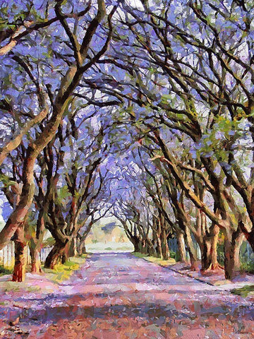 Paradise Road V Black Ornate Wood Framed Art Print with Double Matting by Medeiros, Celito