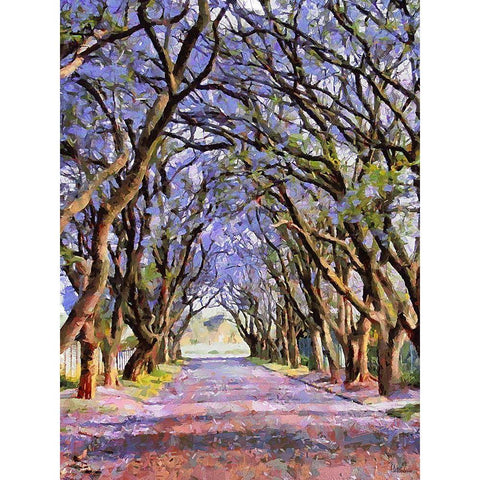 Paradise Road V Black Modern Wood Framed Art Print with Double Matting by Medeiros, Celito