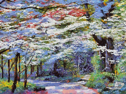 Path in the Park White Modern Wood Framed Art Print with Double Matting by Medeiros, Celito