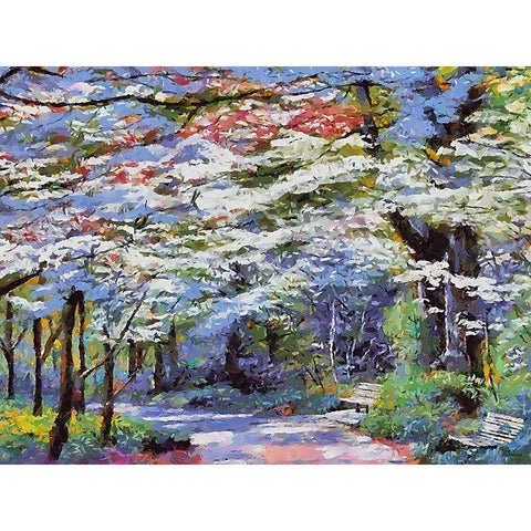 Path in the Park Black Modern Wood Framed Art Print by Medeiros, Celito