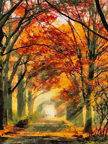 Autumn Road Black Ornate Wood Framed Art Print with Double Matting by Medeiros, Celito
