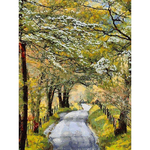 Countryside Road in Spring White Modern Wood Framed Art Print by Medeiros, Celito