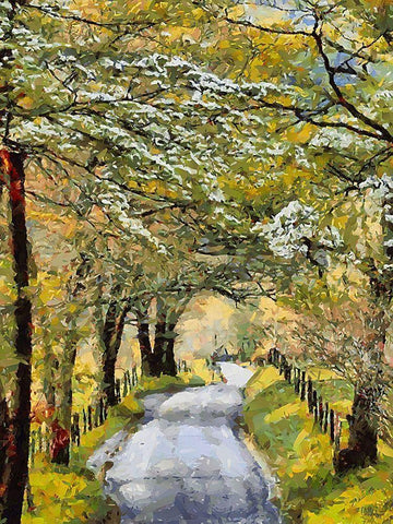 Countryside Road in Spring Black Ornate Wood Framed Art Print with Double Matting by Medeiros, Celito