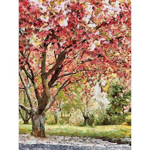 Red flowering Tree Black Modern Wood Framed Art Print with Double Matting by Medeiros, Celito
