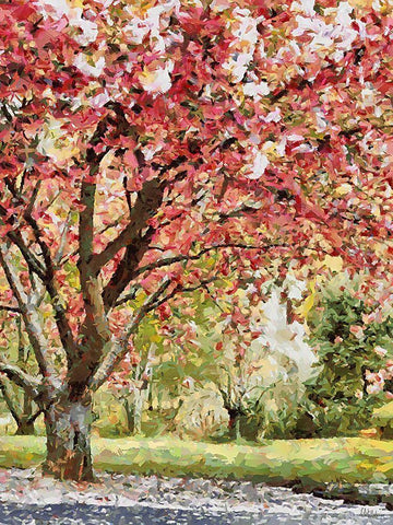 Red flowering Tree Black Ornate Wood Framed Art Print with Double Matting by Medeiros, Celito