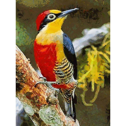 Red and Yellow Bird Black Modern Wood Framed Art Print by Medeiros, Celito