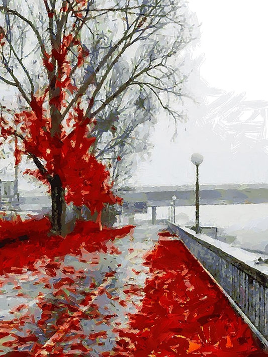 Image Only