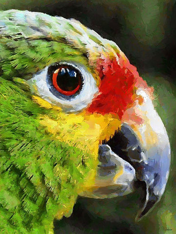 Green Parrot Black Ornate Wood Framed Art Print with Double Matting by Medeiros, Celito