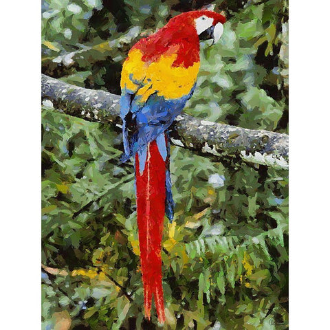 Red, Yellow and Blue Parrot Gold Ornate Wood Framed Art Print with Double Matting by Medeiros, Celito