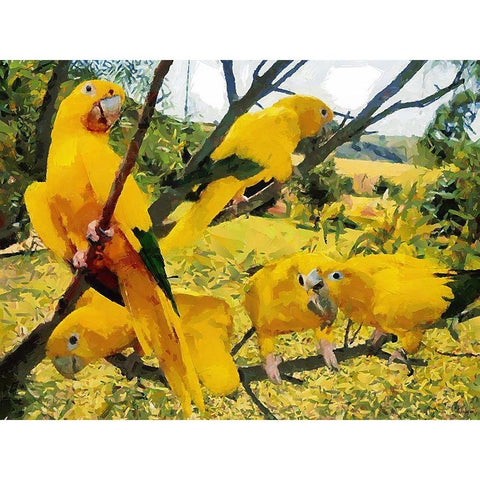 Five Yellow Parrots Gold Ornate Wood Framed Art Print with Double Matting by Medeiros, Celito