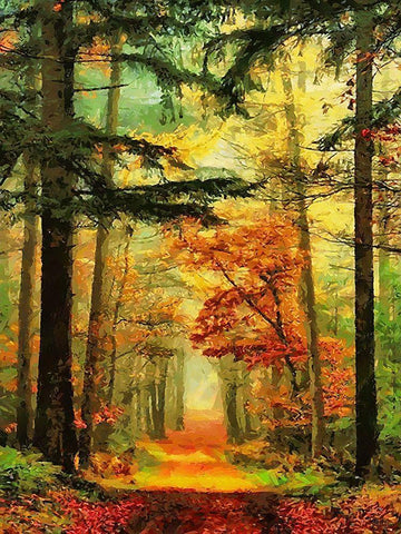 Autumn Walk in the Wood I Black Ornate Wood Framed Art Print with Double Matting by Medeiros, Celito