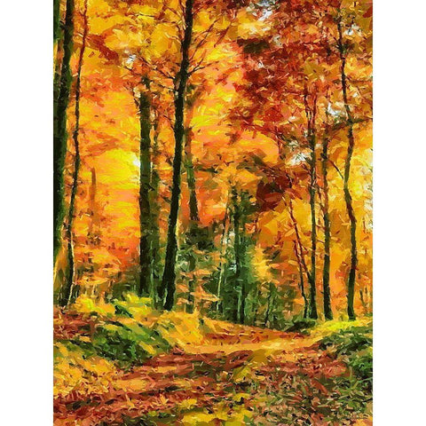 Autumn Walk in the Wood II Gold Ornate Wood Framed Art Print with Double Matting by Medeiros, Celito