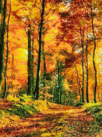 Autumn Walk in the Wood II Black Ornate Wood Framed Art Print with Double Matting by Medeiros, Celito