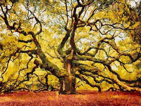 A Big Tree Black Ornate Wood Framed Art Print with Double Matting by Medeiros, Celito