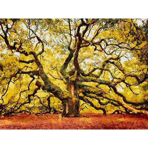 A Big Tree Black Modern Wood Framed Art Print by Medeiros, Celito