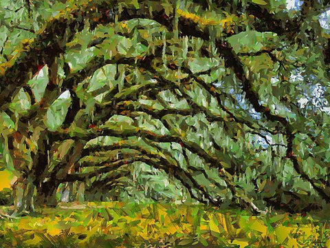 A Big Tree II Black Ornate Wood Framed Art Print with Double Matting by Medeiros, Celito