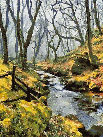 Stream in the Wood Black Ornate Wood Framed Art Print with Double Matting by Medeiros, Celito