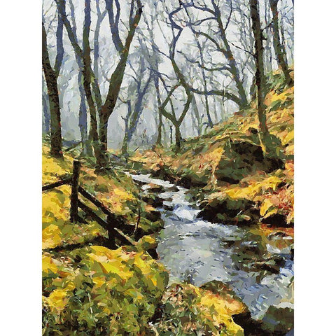 Stream in the Wood White Modern Wood Framed Art Print by Medeiros, Celito