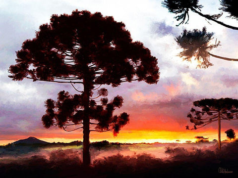 Sunset in Africa Black Ornate Wood Framed Art Print with Double Matting by Medeiros, Celito