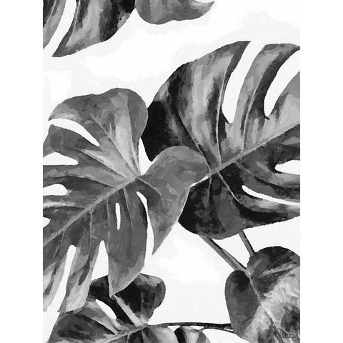 Leaves BW8 Black Modern Wood Framed Art Print with Double Matting by Medeiros, Celito