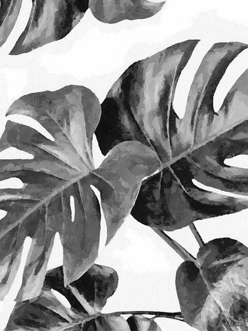 Leaves BW8 Black Ornate Wood Framed Art Print with Double Matting by Medeiros, Celito