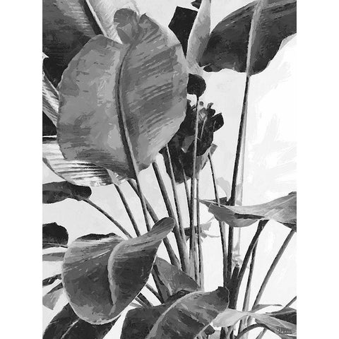 Leaves BW9 Gold Ornate Wood Framed Art Print with Double Matting by Medeiros, Celito