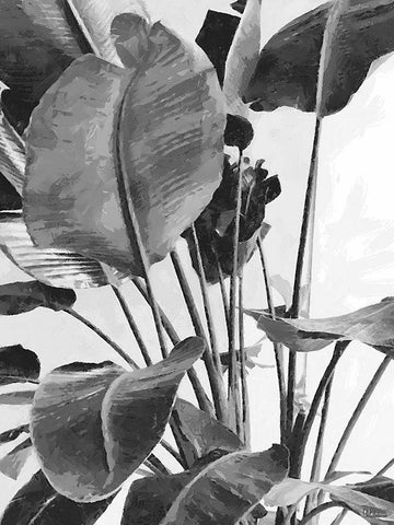 Leaves BW9 White Modern Wood Framed Art Print with Double Matting by Medeiros, Celito