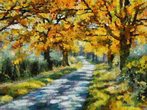 Road in the countryside Black Ornate Wood Framed Art Print with Double Matting by Medeiros, Celito