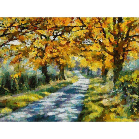 Road in the countryside White Modern Wood Framed Art Print by Medeiros, Celito