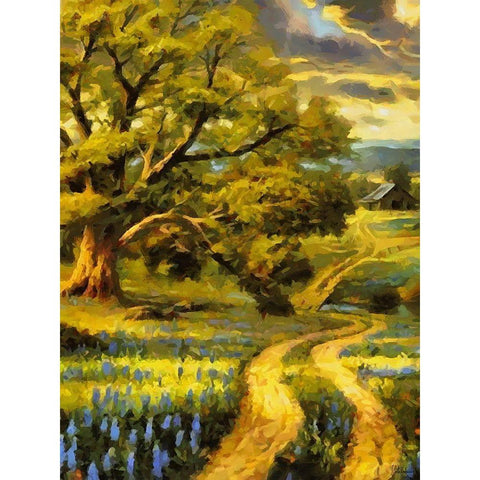 Road in the countryside II Black Modern Wood Framed Art Print by Medeiros, Celito