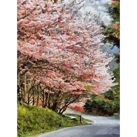 Road with flowering Trees II Gold Ornate Wood Framed Art Print with Double Matting by Medeiros, Celito
