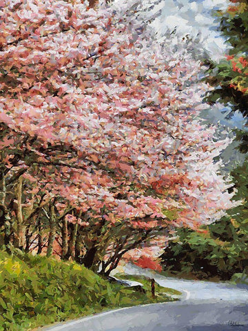 Road with flowering Trees II Black Ornate Wood Framed Art Print with Double Matting by Medeiros, Celito