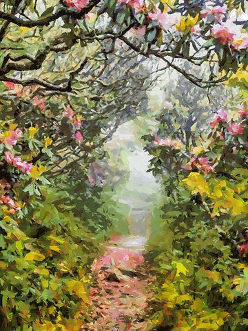 Path under Magnolia Trees White Modern Wood Framed Art Print with Double Matting by Medeiros, Celito